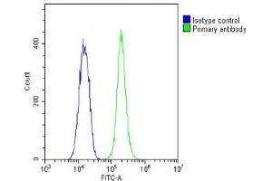 Overlay histogram showing C2C12 cells stained with (ABIN6242661 and ABIN6578874)(green line).