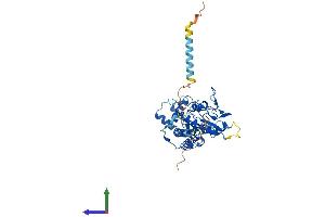 AlphaFold protein structure predicition of Human Recombinant HS6ST1 Protein, UniprotID O60243
