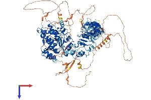 AlphaFold protein structure predicition of Mouse Recombinant Kdm2a Protein, UniprotID P59997