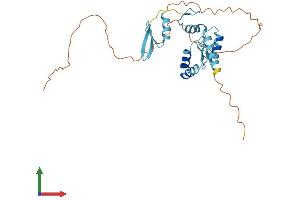 AlphaFold protein structure predicition of Mouse Recombinant Ovol2 Protein, UniprotID Q8CIV7