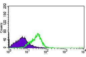 Flow cytometric analysis of HEK293 cells using DNAL4 mouse mAb (green) and negative control (purple). (DNAL4 anticorps  (AA 1-105))