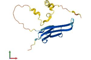 AlphaFold protein structure predicition of Human Recombinant HSPB3 Protein, UniprotID Q12988