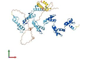 AlphaFold protein structure predicition of Human Recombinant ZNF846 Protein, UniprotID Q147U1