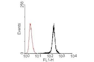 Overlay histogram of BMP4 staining Caco-2 cells. (BMP4 anticorps  (AA 25-408))