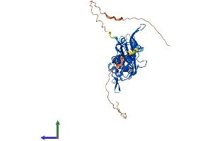 AlphaFold protein structure predicition of Human Recombinant KCNJ5 Protein, UniprotID P48544