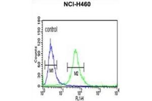 Flow Cytometry (FACS) image for anti-Integrin, beta-Like 1 (With EGF-Like Repeat Domains) (ITGBL1) antibody (ABIN3003908)