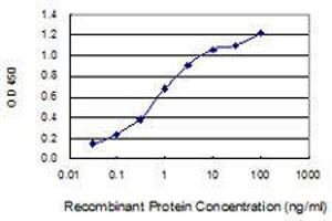 Detection limit for recombinant GST tagged SLC35B2 is 0.
