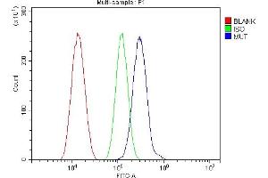 Flow Cytometry analysis of SiHa cells using anti-MUT antibody (ABIN4886676). (MUT anticorps  (N-Term))