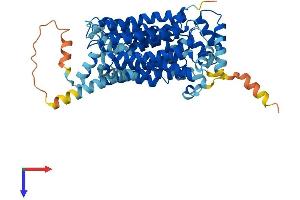 AlphaFold protein structure predicition of Mouse Recombinant Slc2a2 Protein, UniprotID P14246