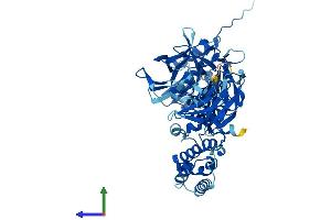 AlphaFold protein structure predicition of Human Recombinant CCIN Protein, UniprotID Q13939