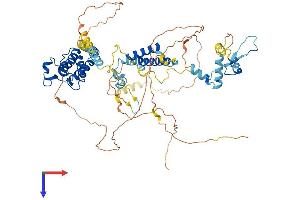 AlphaFold protein structure predicition of Mouse Recombinant Brd7 Protein, UniprotID O88665
