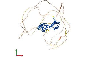 AlphaFold protein structure predicition of Mouse Recombinant Onecut1 Protein, UniprotID O08755