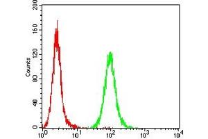 Flow cytometric analysis of Hela cells using HIF2a mouse mAb (green) and negative control (red).