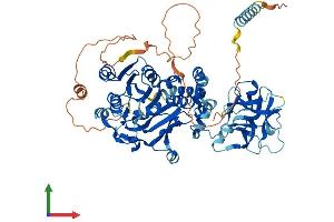 AlphaFold protein structure predicition of Mouse Recombinant Galnt15 Protein, UniprotID Q9D2N8