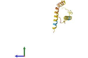 AlphaFold protein structure predicition of Human Recombinant RFPL3S Protein, UniprotID P0C7P2