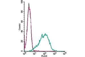 Cell surface detection of SERT by direct flow cytometry in live intact mouse P815 mastocytoma cells: + Rabbit IgG isotype control-PE.