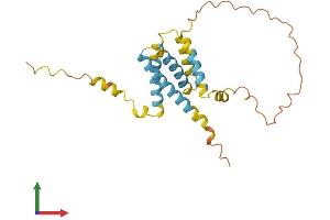 AlphaFold protein structure predicition of Human Recombinant CMTM5 Protein, UniprotID Q96DZ9