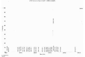 Gastrin-Releasing Peptide (GRP) peptide (Ovalbumin)