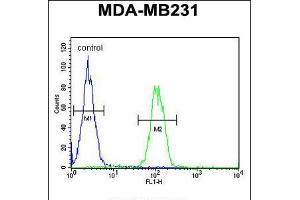 Flow cytometric analysis of MDA-MB231 cells (right histogram) compared to a negative control cell (left histogram). (PHD1 anticorps  (AA 194-221))