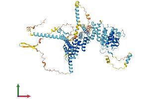 AlphaFold protein structure predicition of Human Recombinant NOC3L Protein, UniprotID Q8WTT2