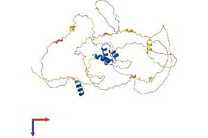 AlphaFold protein structure predicition of Human Recombinant LCOR Protein, UniprotID Q96JN0