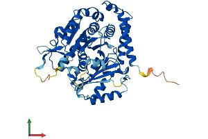 AlphaFold protein structure predicition of Human Recombinant TUBA1C Protein, UniprotID Q9BQE3
