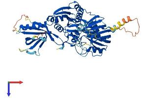 AlphaFold protein structure predicition of Mouse Recombinant Cerk Protein, UniprotID Q8K4Q7