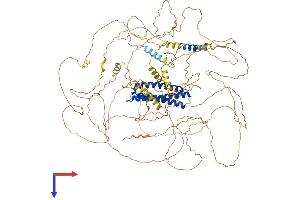 AlphaFold protein structure predicition of Human Recombinant DLGAP2 Protein, UniprotID Q9P1A6