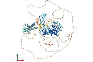 AlphaFold protein structure predicition of Mouse Recombinant Ksr1 Protein, UniprotID Q61097