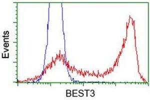 Flow Cytometry (FACS) image for anti-Bestrophin 3 (BEST3) antibody (ABIN1501730) (Bestrophin 3 anticorps)