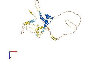 AlphaFold protein structure predicition of Mouse Recombinant Nkx2-3 Protein, UniprotID P97334