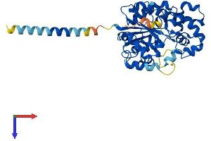 AlphaFold protein structure predicition of Mouse Recombinant Chst4 Protein, UniprotID Q9R1I1