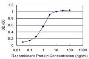Detection limit for recombinant GST tagged SLC33A1 is 0.