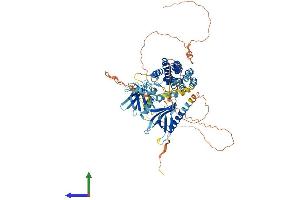 AlphaFold protein structure predicition of Mouse Recombinant Fgd3 Protein, UniprotID O88842