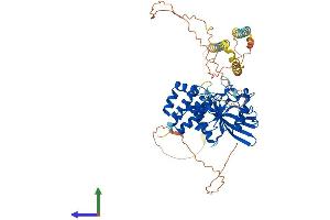 AlphaFold protein structure predicition of Human Recombinant PTPN5 Protein, UniprotID P54829