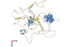 AlphaFold protein structure predicition of Mouse Recombinant Ncoa7 Protein, UniprotID Q6DFV7