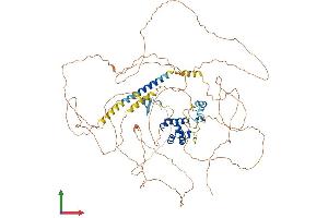 AlphaFold protein structure predicition of Human Recombinant PHC2 Protein, UniprotID Q8IXK0