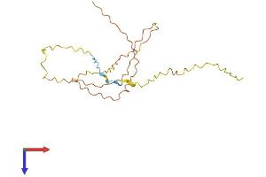 AlphaFold protein structure predicition of Mouse Recombinant Gcsam Protein, UniprotID Q6RFH4