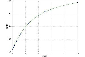 A typical standard curve (MAGEC1 Kit ELISA)