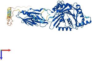 AlphaFold protein structure predicition of Mouse Recombinant B4galnt2 Protein, UniprotID Q09199