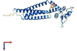 AlphaFold protein structure predicition of Human Recombinant TSPAN5 Protein, UniprotID P62079