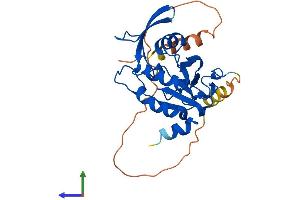 AlphaFold protein structure predicition of Human Recombinant CTDSP2 Protein, UniprotID O14595