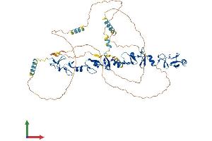 AlphaFold protein structure predicition of Human Recombinant PXN Protein, UniprotID P49023