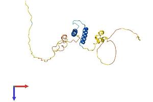 AlphaFold protein structure predicition of Mouse Recombinant Tcf23 Protein, UniprotID Q9JLR5