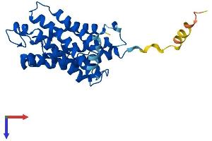 AlphaFold protein structure predicition of Human Recombinant AQP3 Protein, UniprotID Q92482