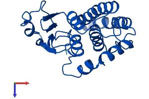 AlphaFold protein structure predicition of Mouse Recombinant Gstm7 Protein, UniprotID Q80W21