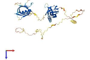 AlphaFold protein structure predicition of Human Recombinant DOK2 Protein, UniprotID O60496