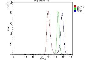 Flow Cytometry analysis of HEL cells using anti-Septin 11/SEPTIN11 antibody (ABIN7602925). (Septin 11 anticorps  (C-Term))