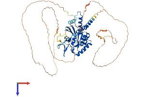AlphaFold protein structure predicition of Mouse Recombinant Septin9 Protein, UniprotID Q80UG5