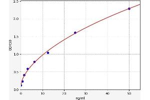 Typical standard curve (POMT1 Kit ELISA)